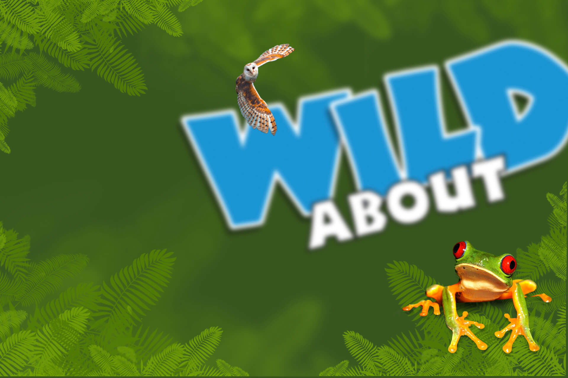 Taming a wild brief, and unleashing a nationwide campaign. brand image