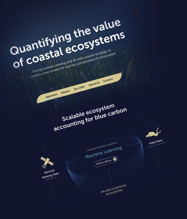 Quantifying the value of coastal ecosystems.